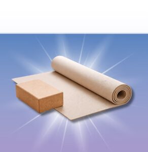 Rolled yoga mat with cork block on blue background, representing wellness and fitness programs